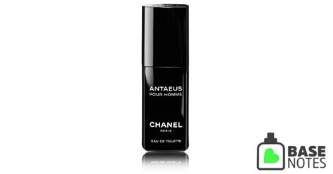 chanel antaeus 2019 site basenotes.net